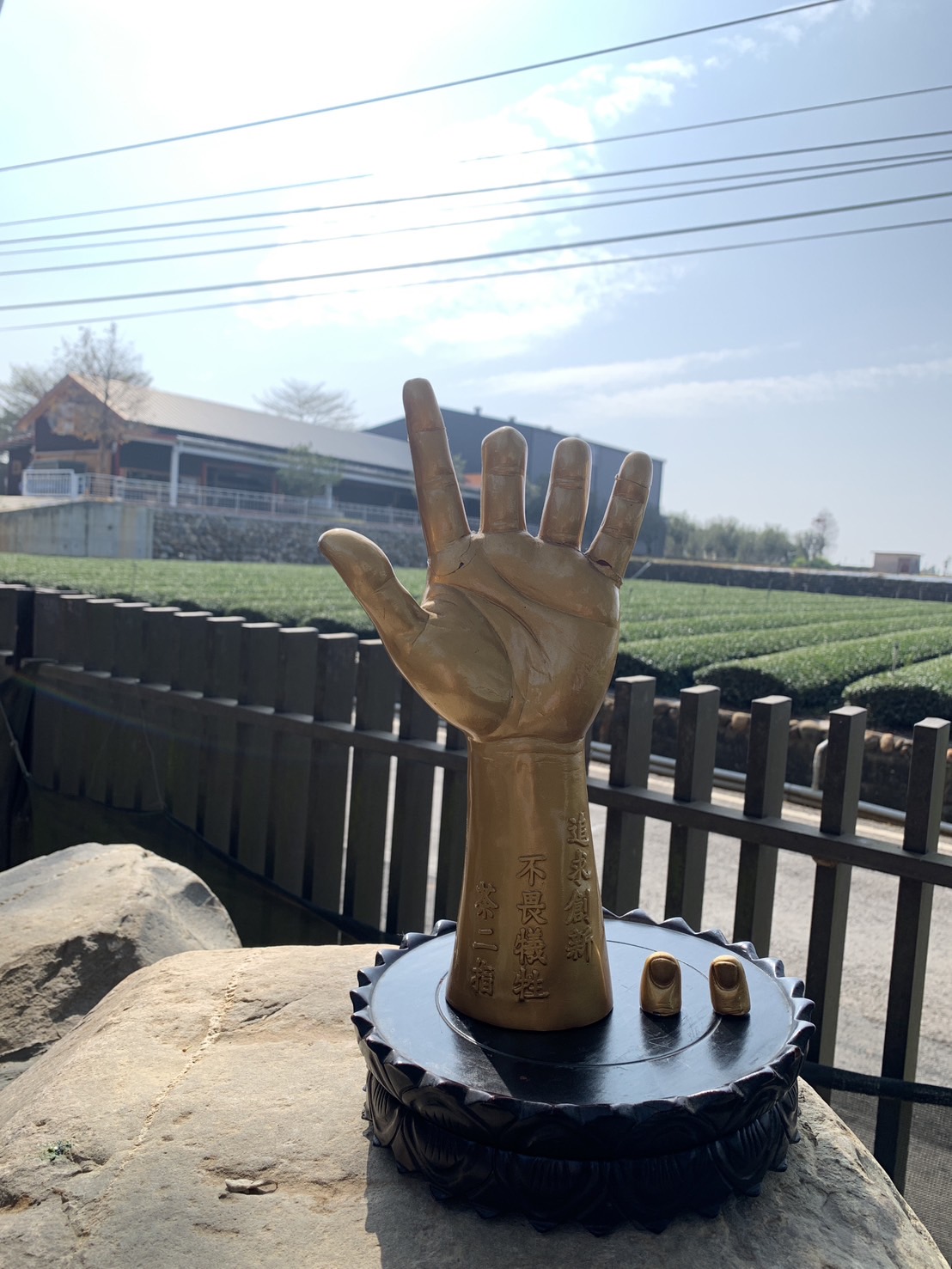 楊八指×茶二指圖片