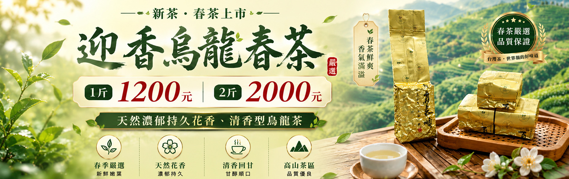 迎香烏龍春茶